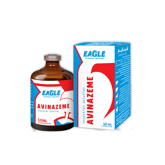 AVINAZEME Eagle