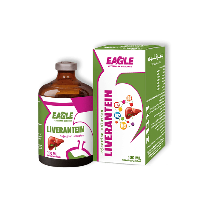 LIVERANTEIN - Eagle